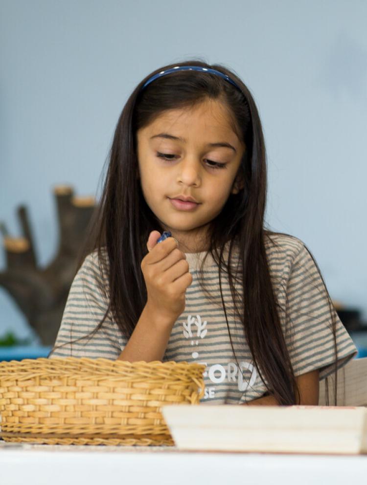 Preschools in Midrand Blue Hills