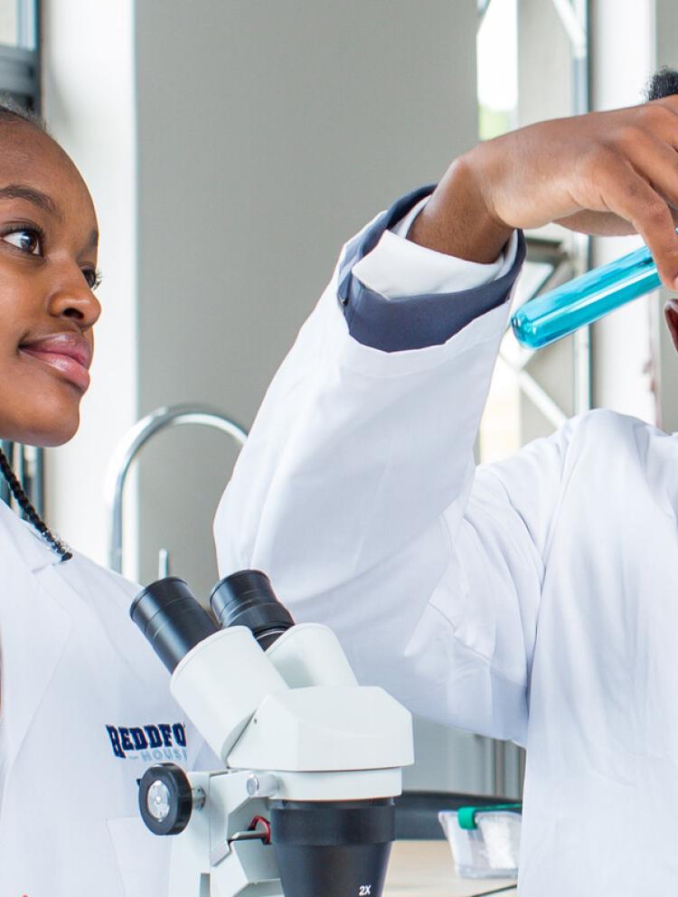 University Admissions