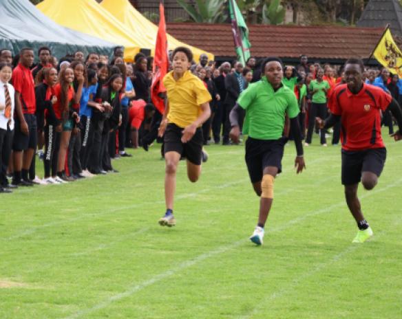 Bulletin No. 4 Term 1 2025-2026