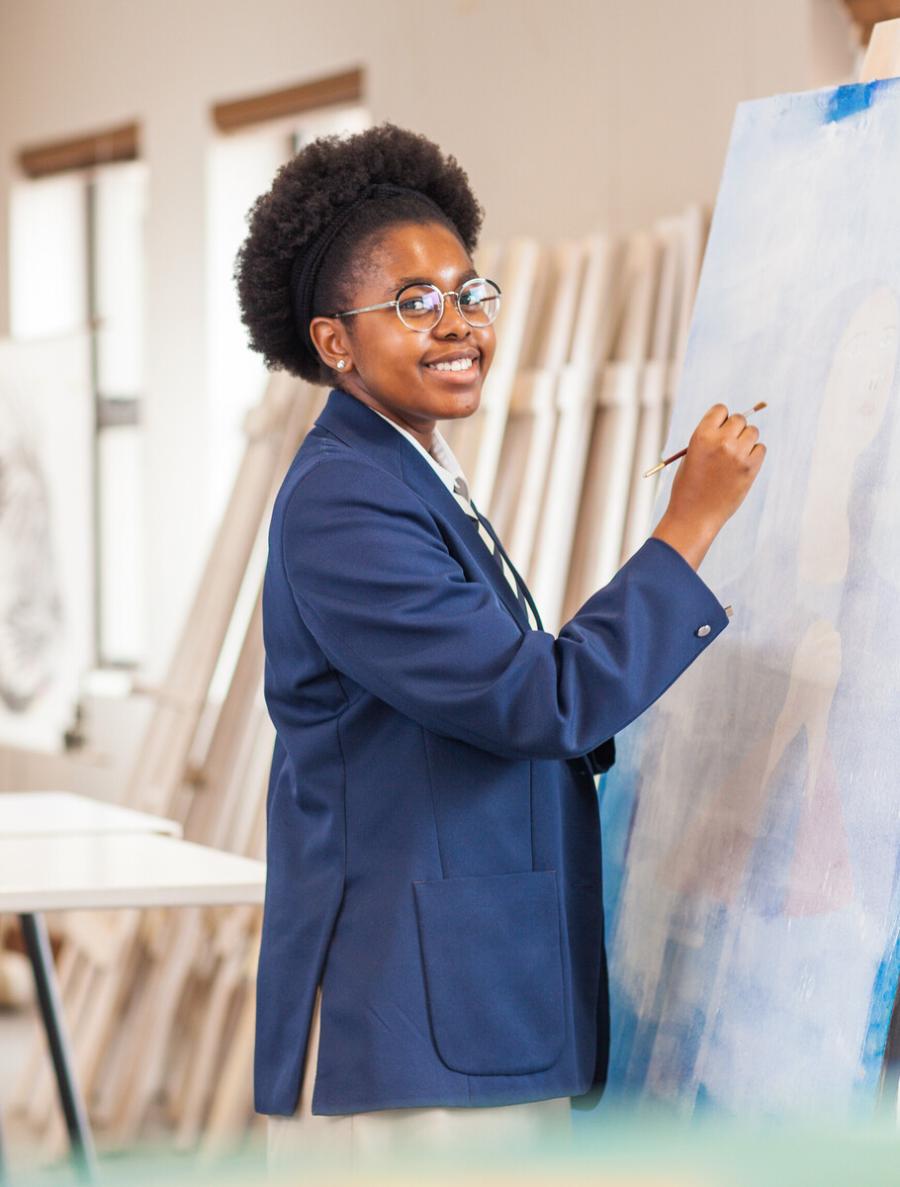 high schools in waterfall