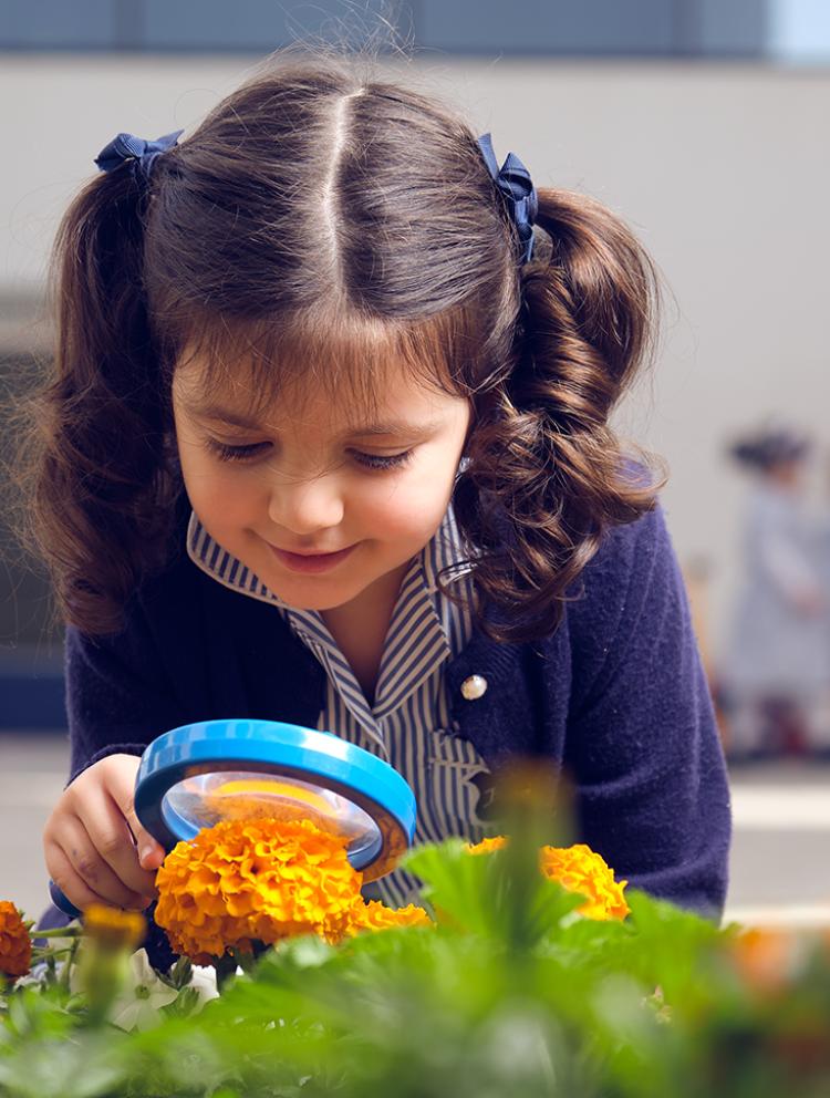 enquire-bahrain-school