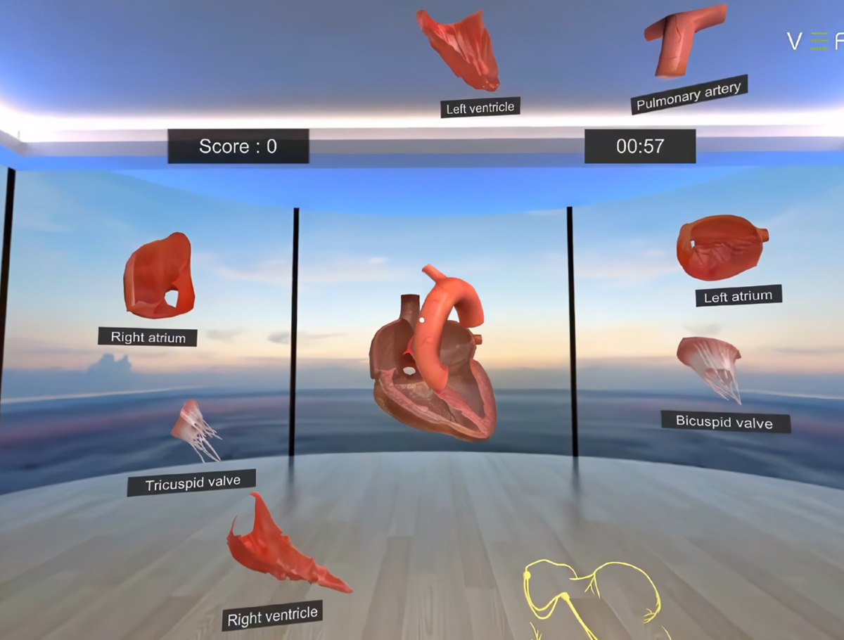 EdTech programme VR