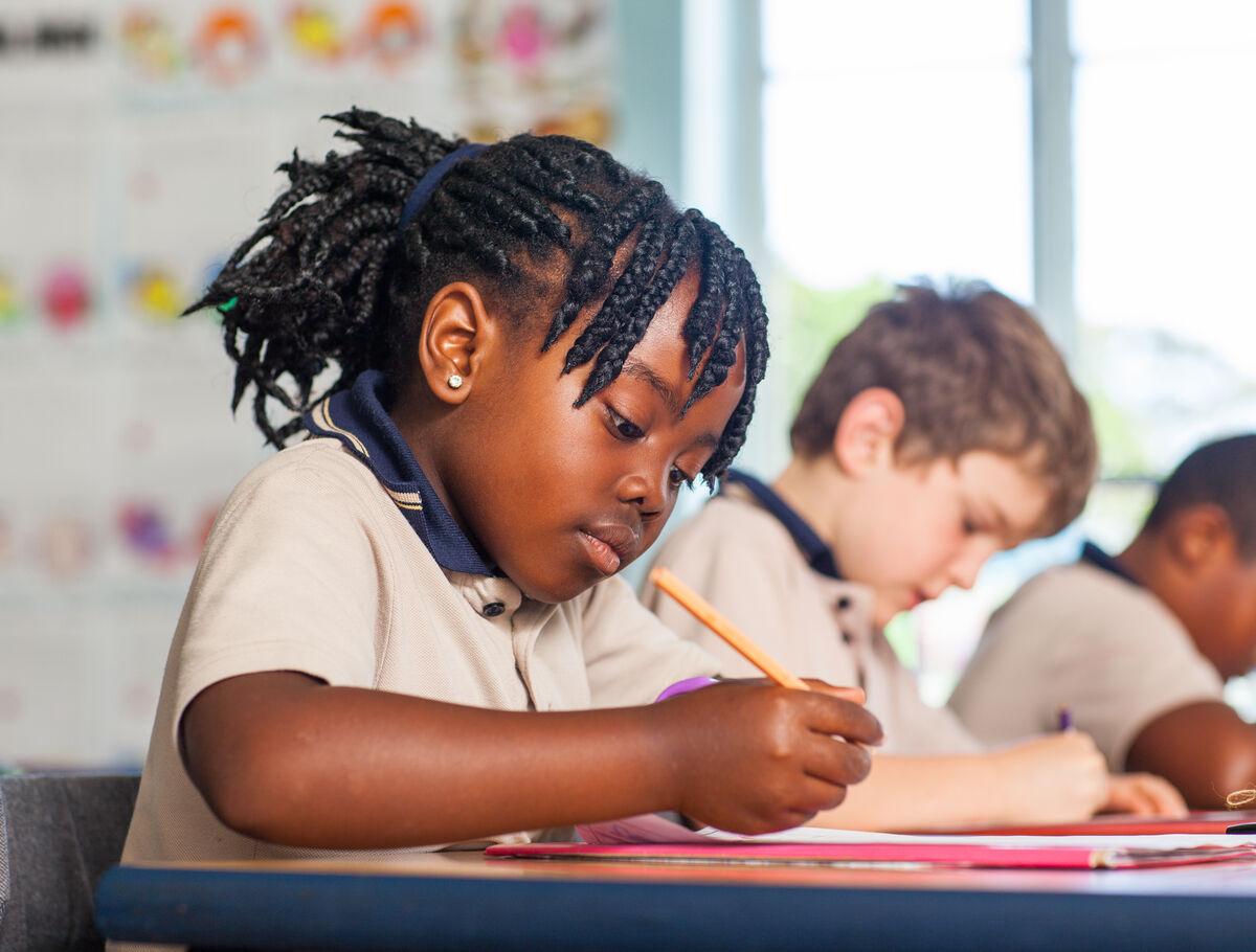 rich and robust curriculum